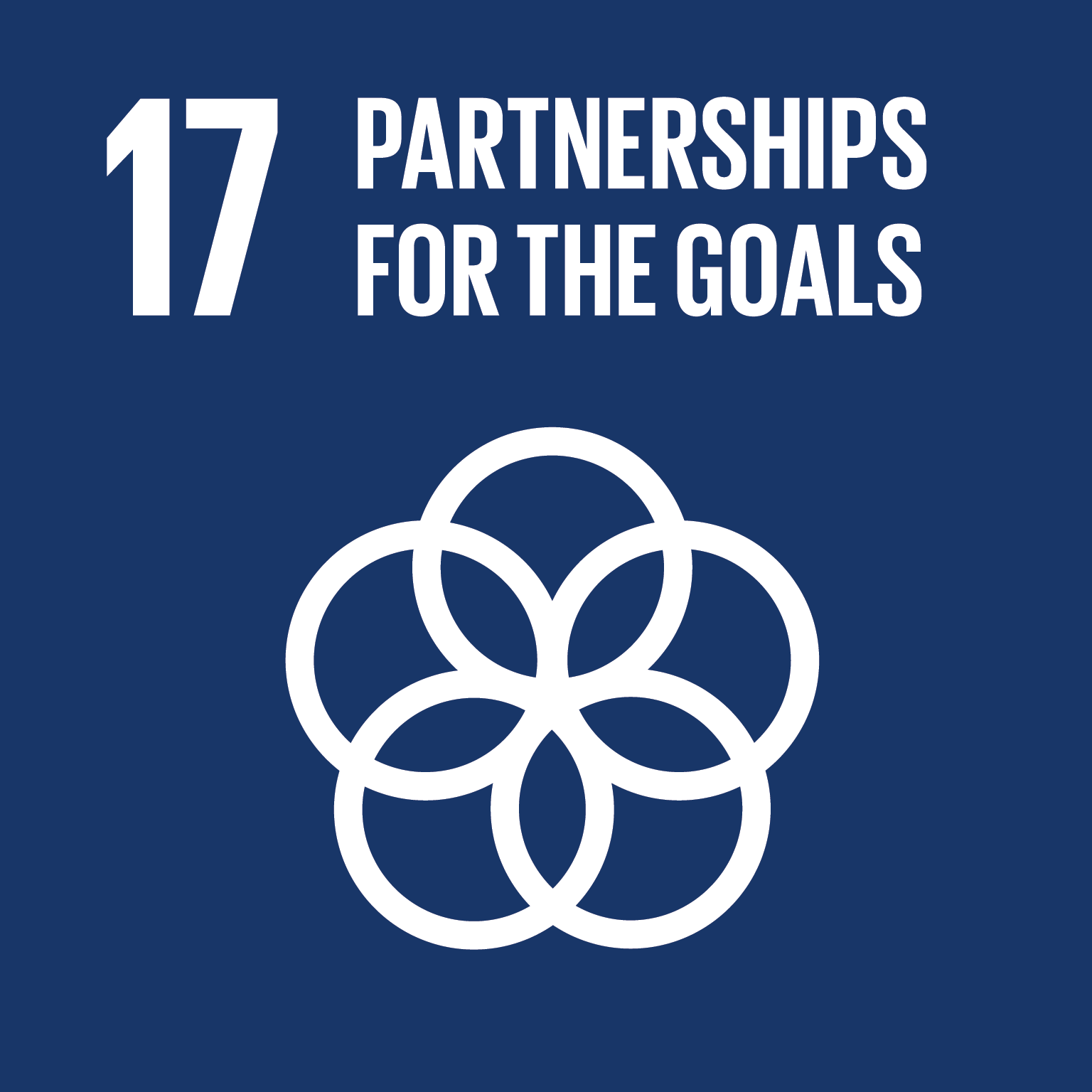 Goal 17: Partnerships for the Goals